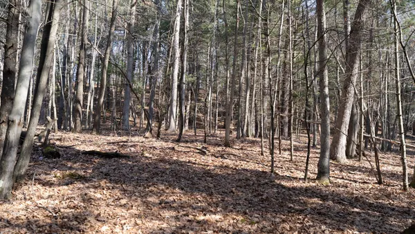 $599,900 | W7113 Leigh Road, Mauston, WI 53948