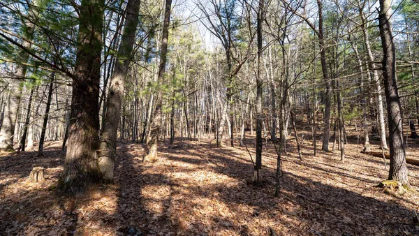 $599,900 | W7113 Leigh Road, Mauston, WI 53948