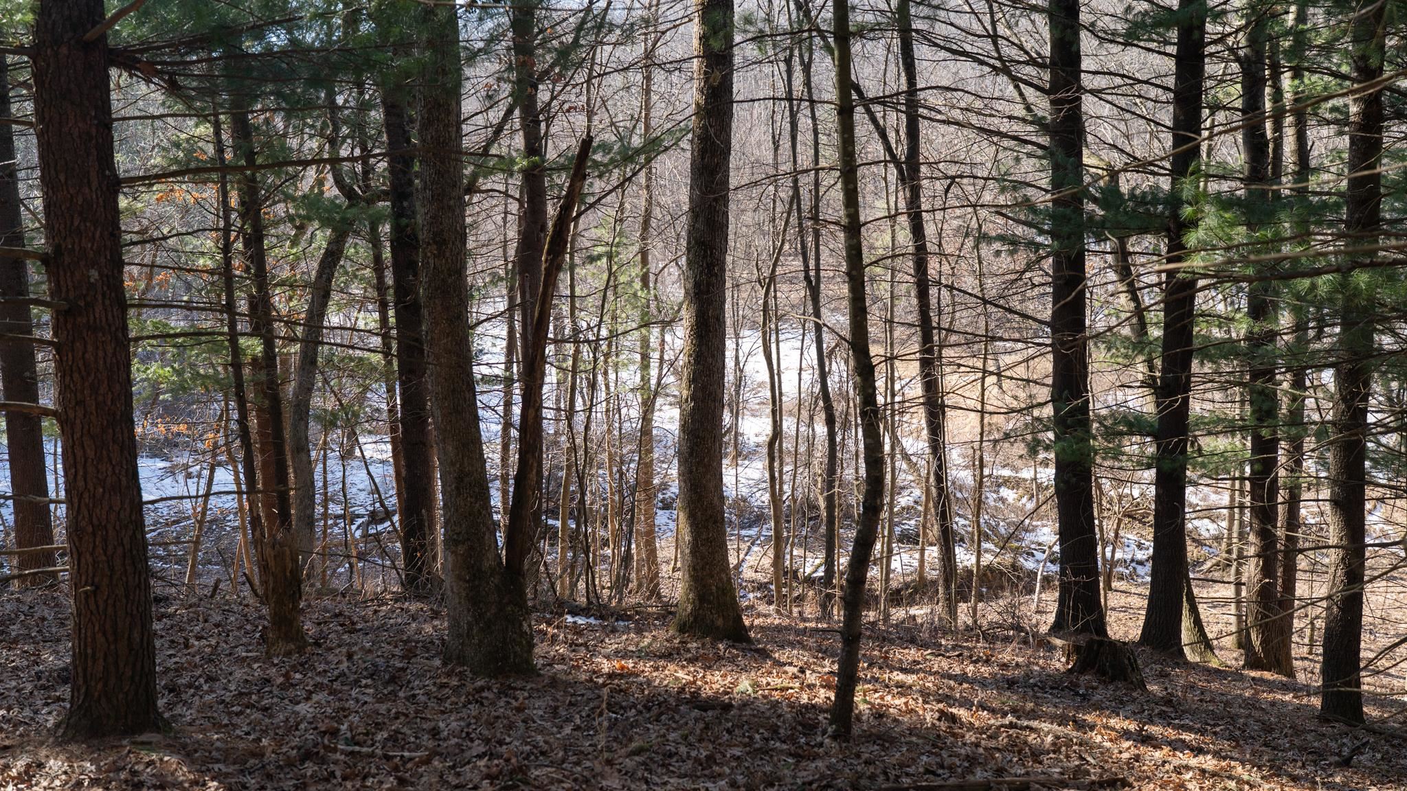 W7113 Leigh Road Mauston, WI 53948 - Photo 50 of 84