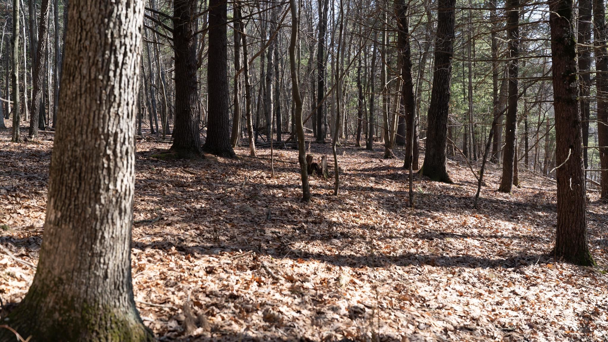 W7113 Leigh Road Mauston, WI 53948 - Photo 51 of 84