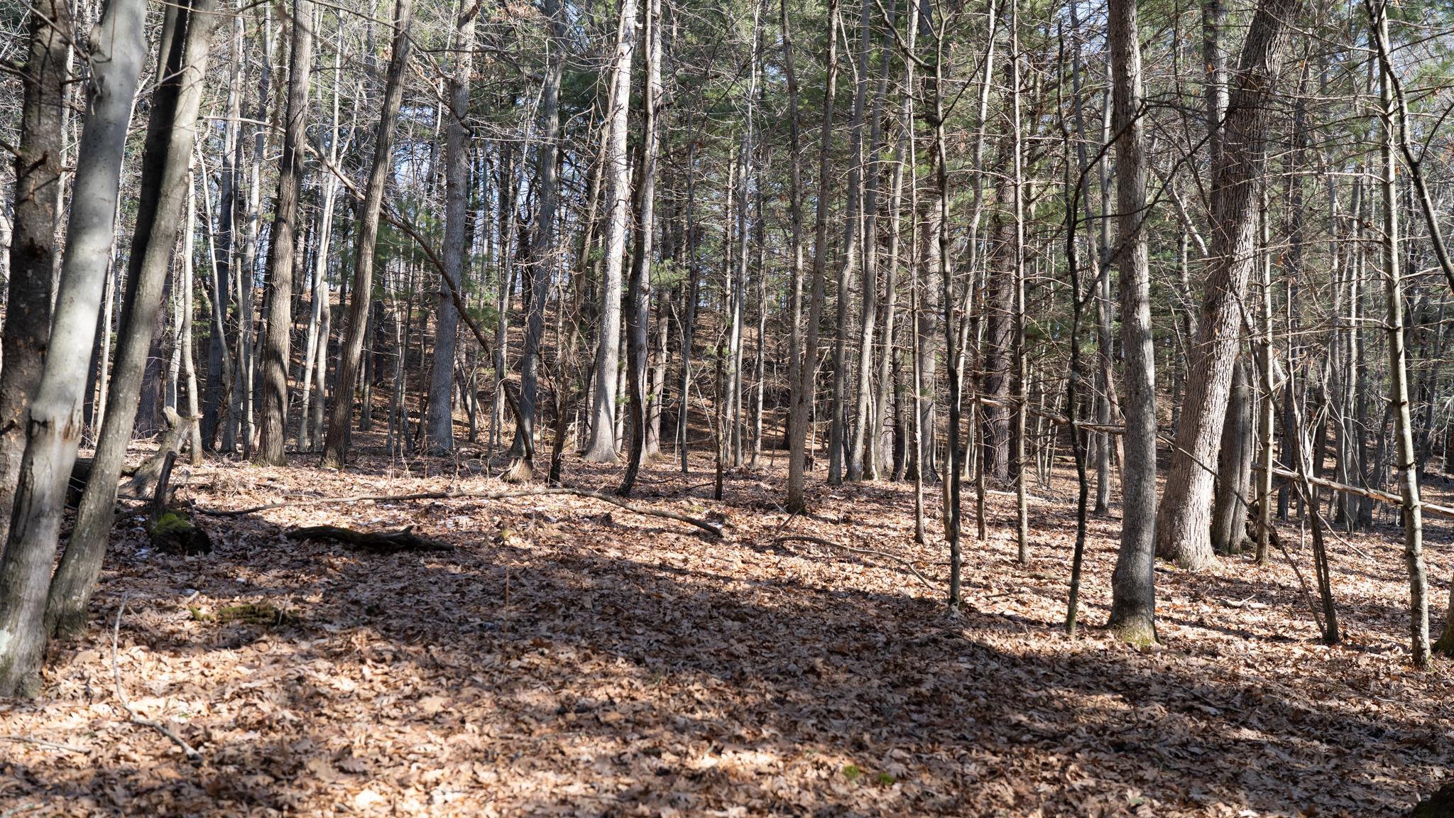 W7113 Leigh Road Mauston, WI 53948 - Photo 54 of 84