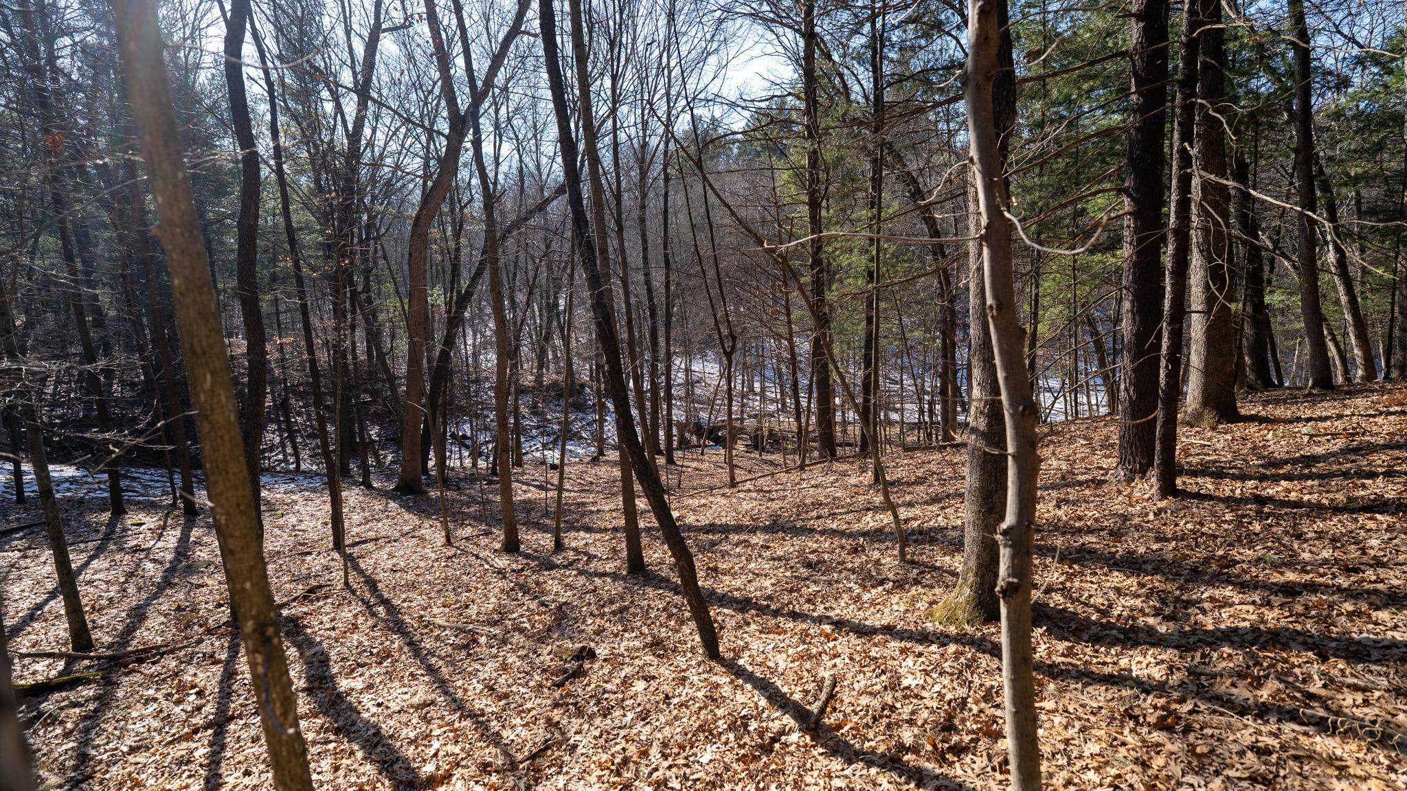 W7113 Leigh Road Mauston, WI 53948 - Photo 55 of 84