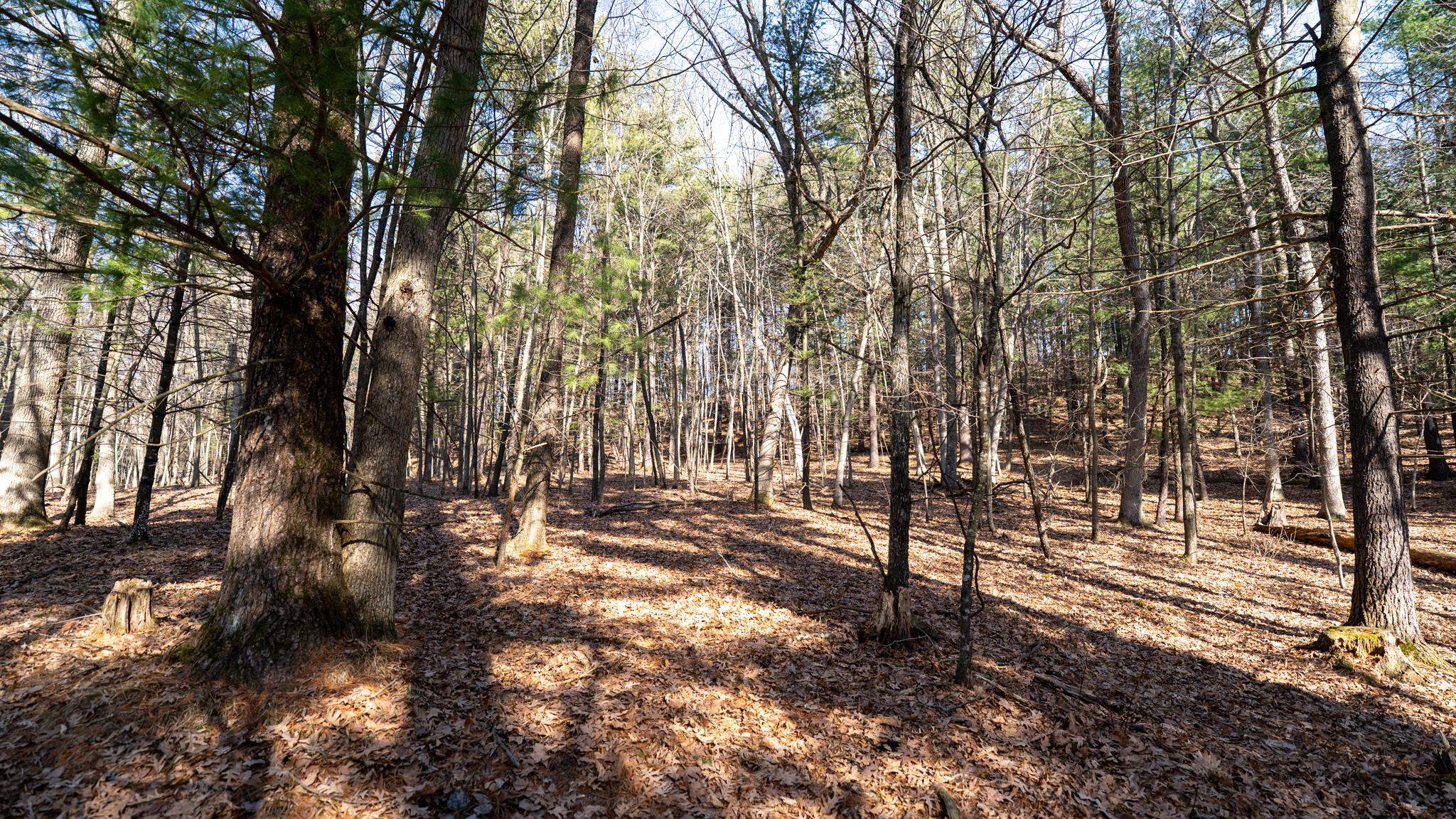 W7113 Leigh Road Mauston, WI 53948 - Photo 56 of 84