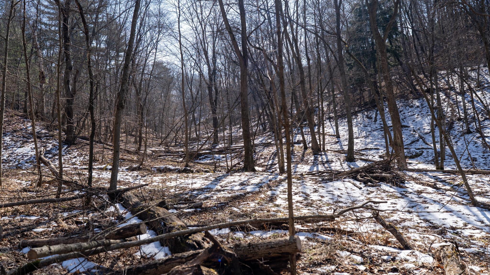 W7113 Leigh Road Mauston, WI 53948 - Photo 57 of 84