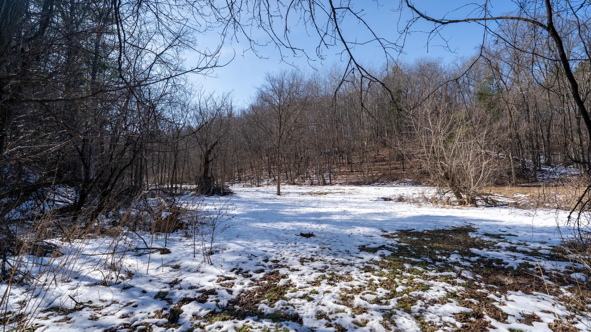 W7113 Leigh Road Mauston, WI 53948 - Photo 59 of 84