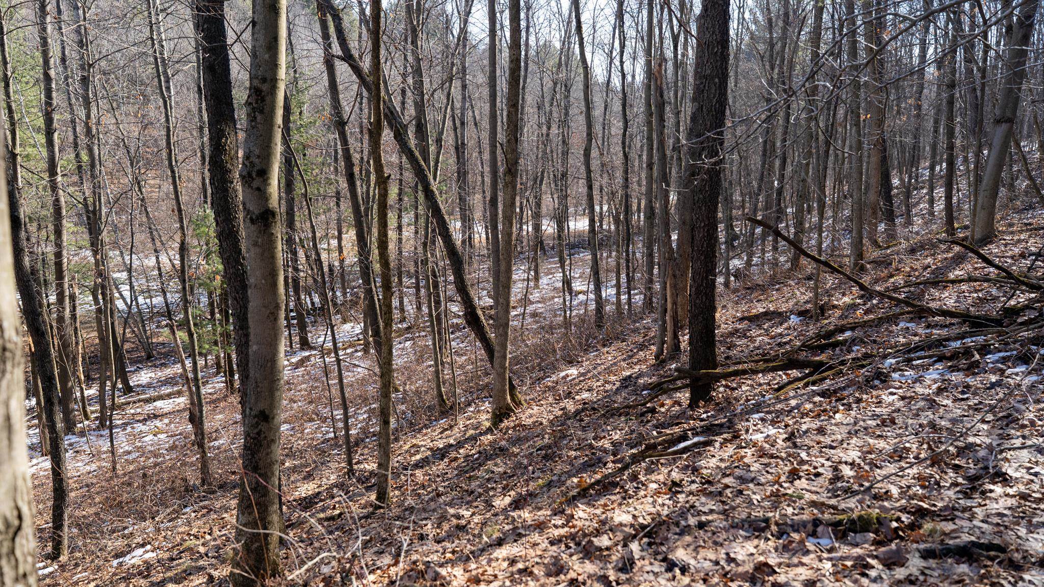 W7113 Leigh Road Mauston, WI 53948 - Photo 64 of 84