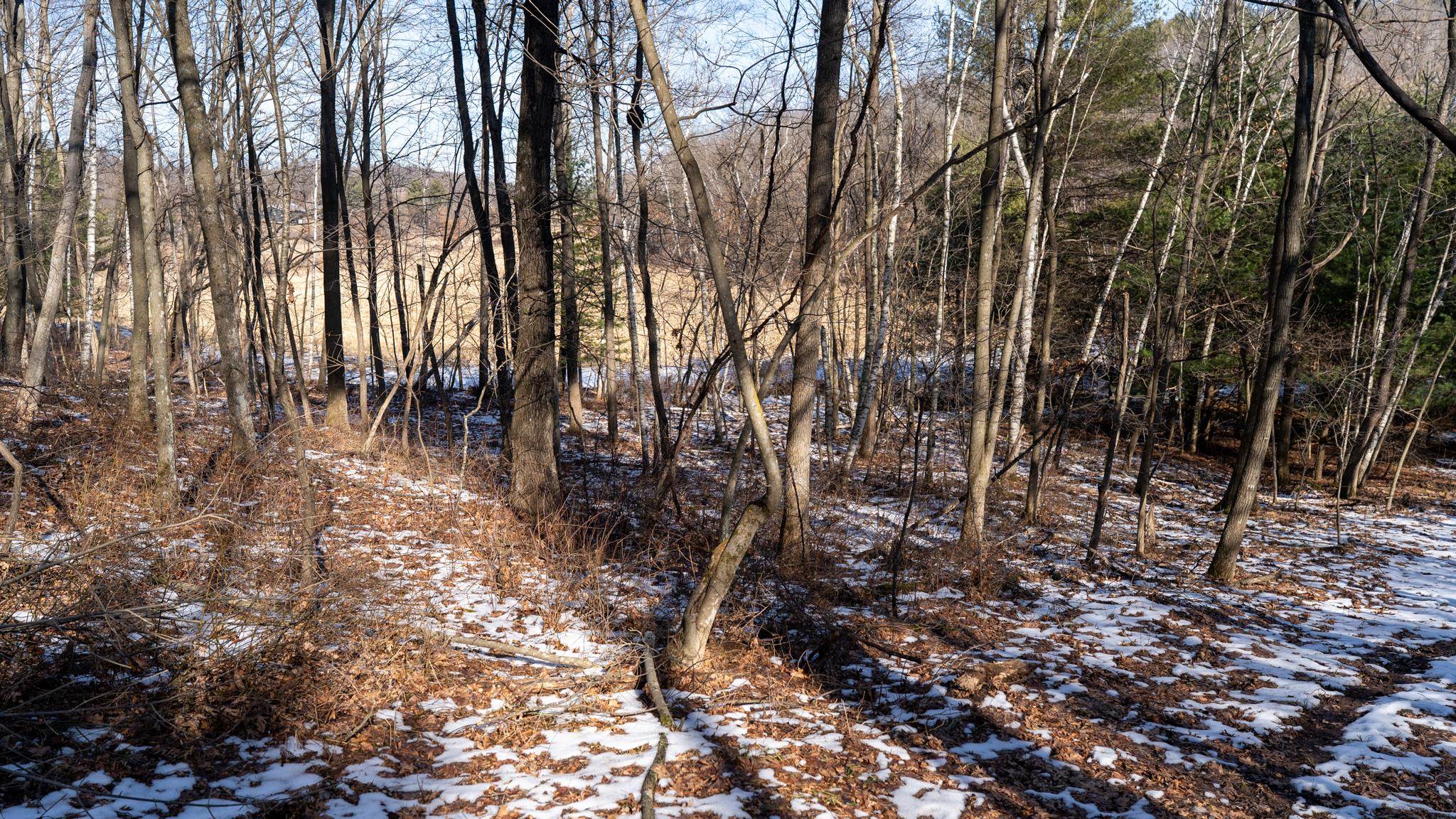 W7113 Leigh Road Mauston, WI 53948 - Photo 67 of 84