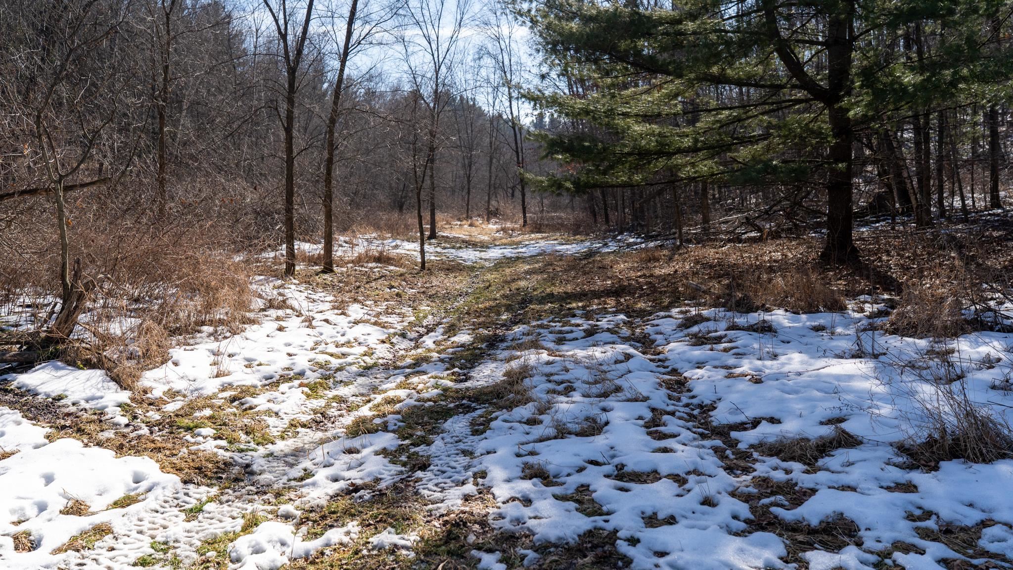 W7113 Leigh Road Mauston, WI 53948 - Photo 68 of 84