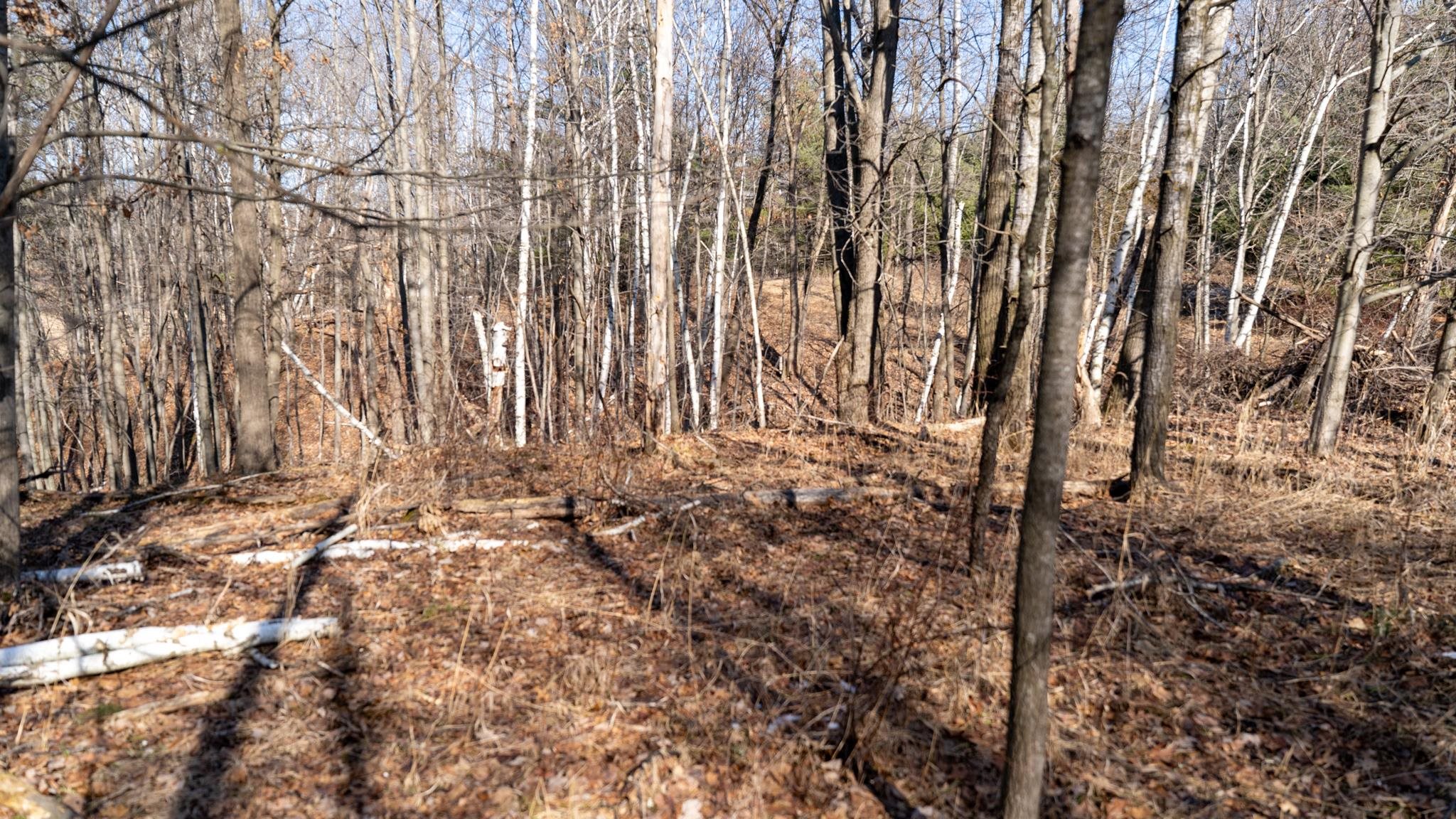 W7113 Leigh Road Mauston, WI 53948 - Photo 73 of 84