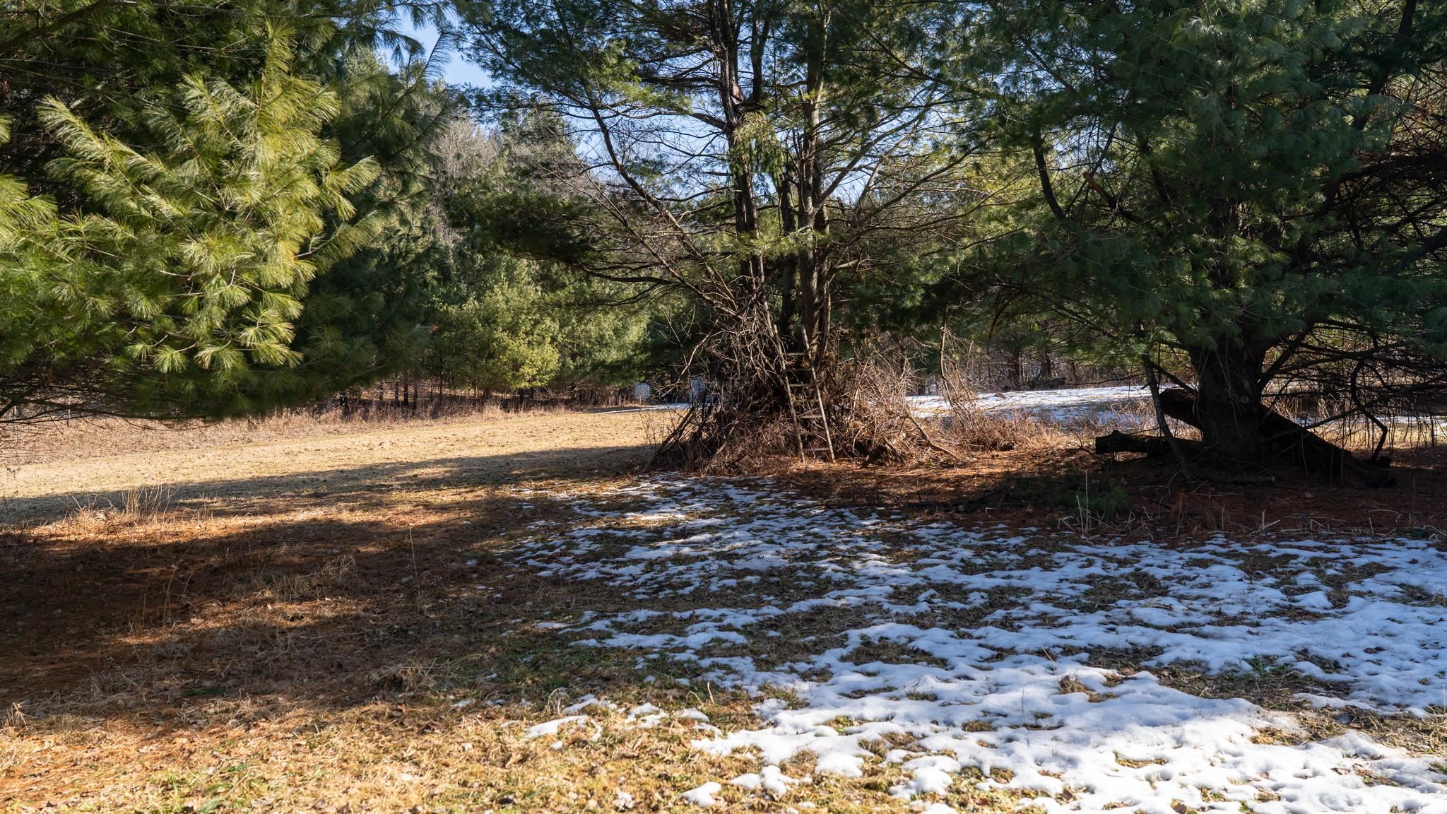 W7113 Leigh Road Mauston, WI 53948 - Photo 74 of 84