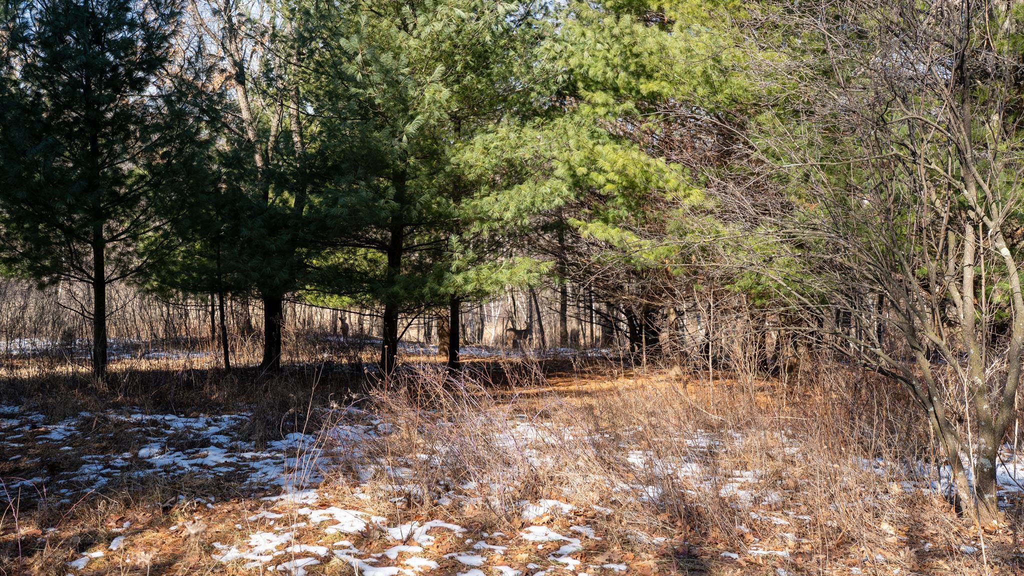 W7113 Leigh Road Mauston, WI 53948 - Photo 76 of 84