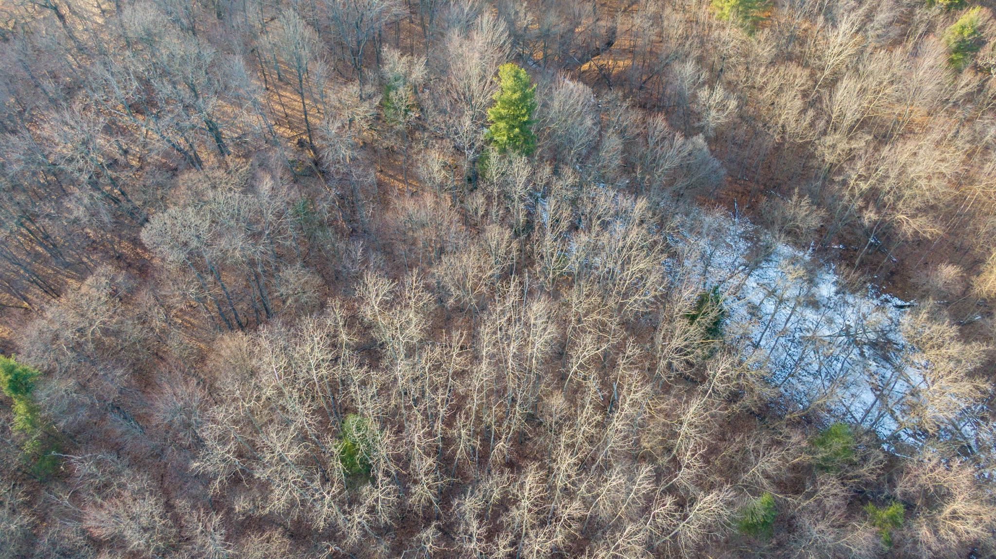 W7113 Leigh Road Mauston, WI 53948 - Photo 77 of 84