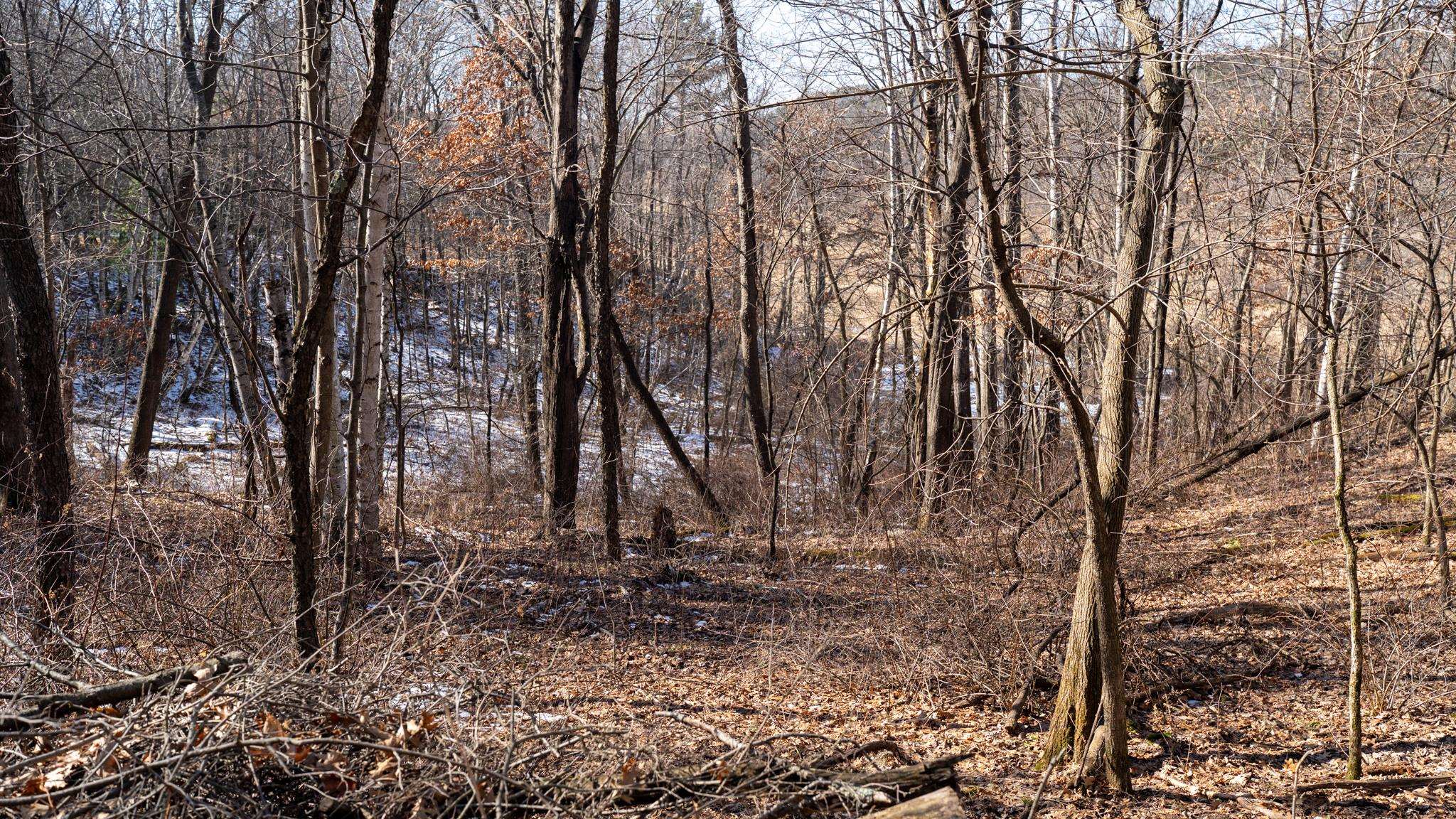 W7113 Leigh Road Mauston, WI 53948 - Photo 78 of 84