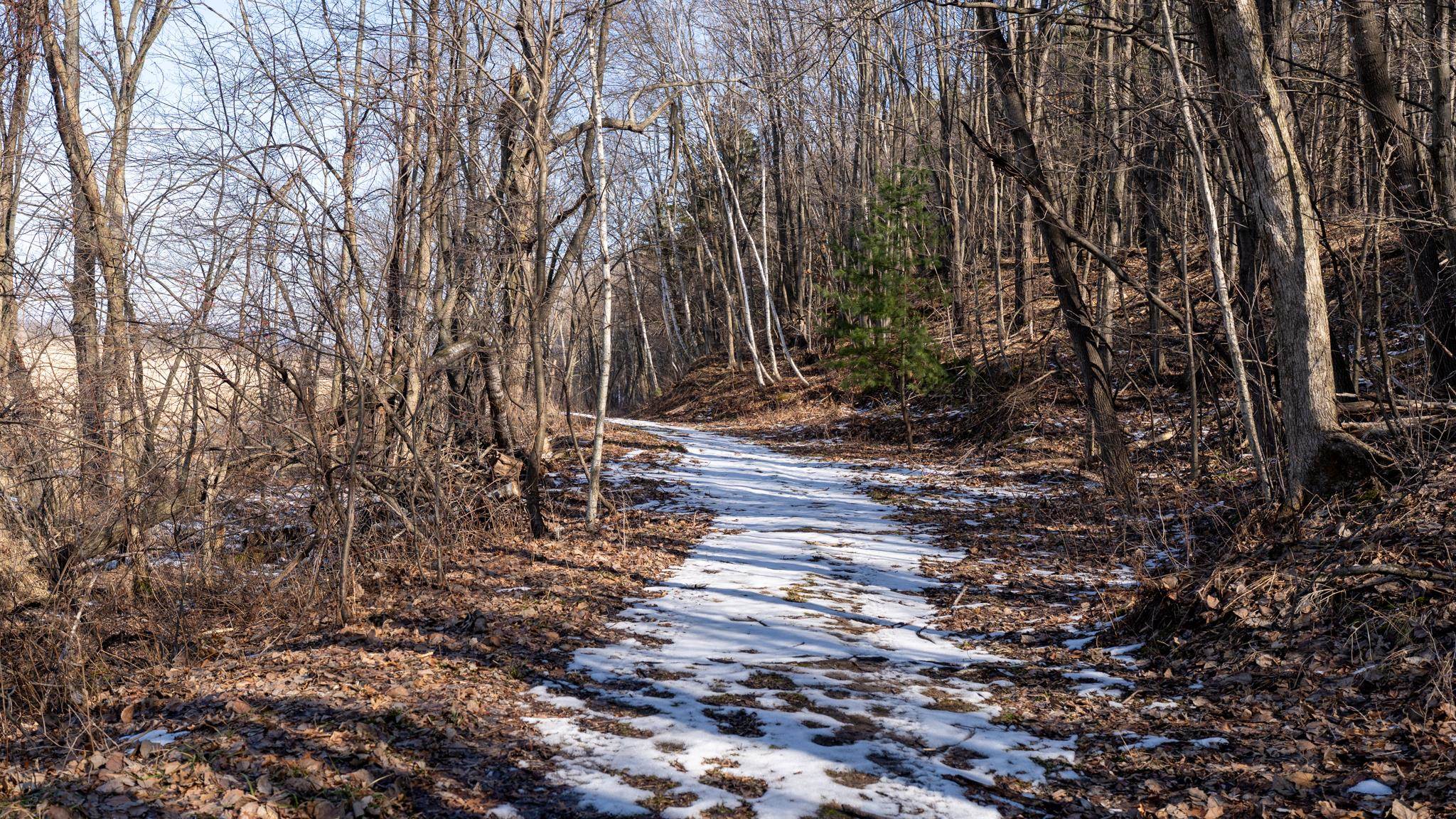 W7113 Leigh Road Mauston, WI 53948 - Photo 79 of 84