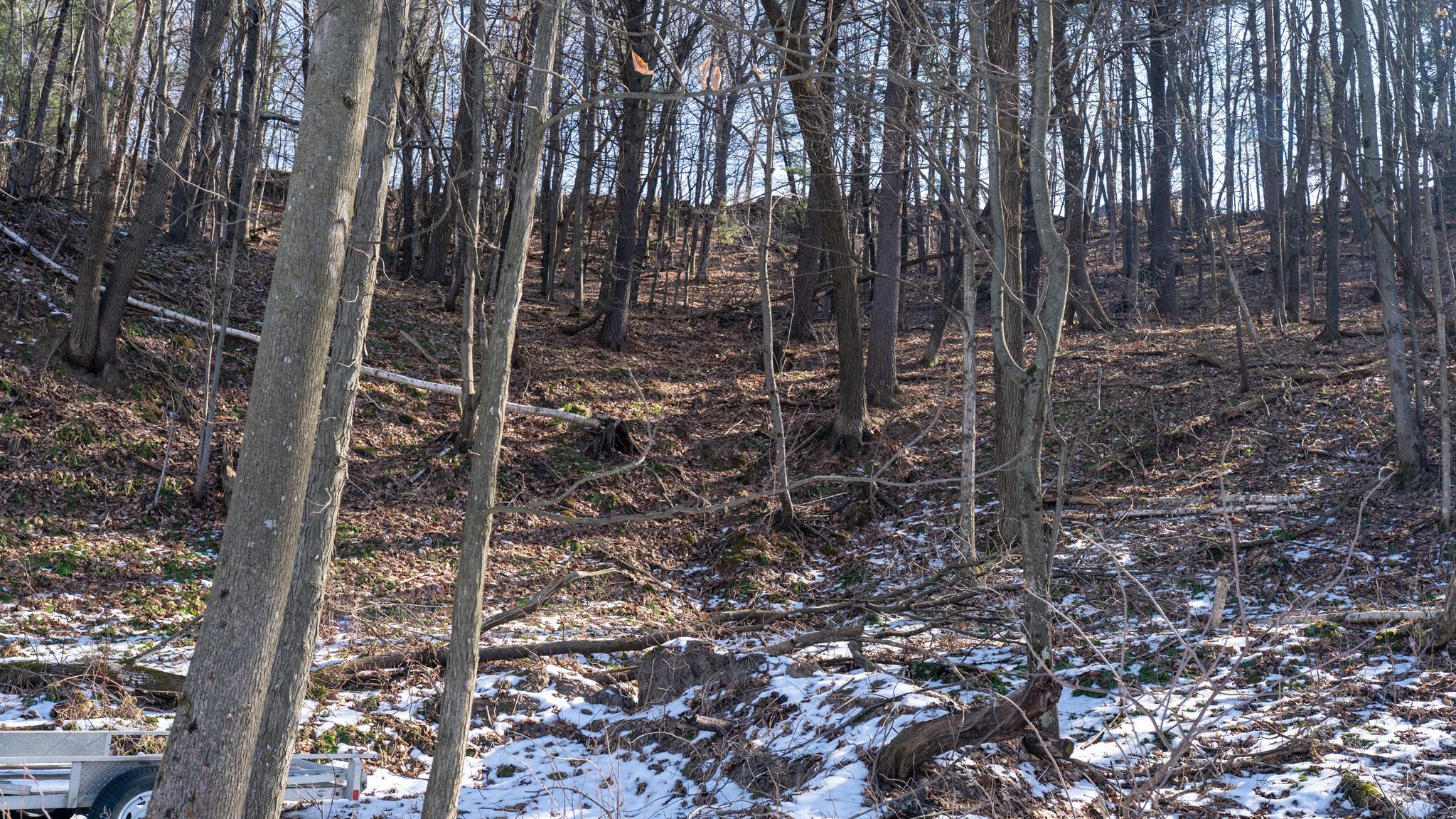 W7113 Leigh Road Mauston, WI 53948 - Photo 80 of 84