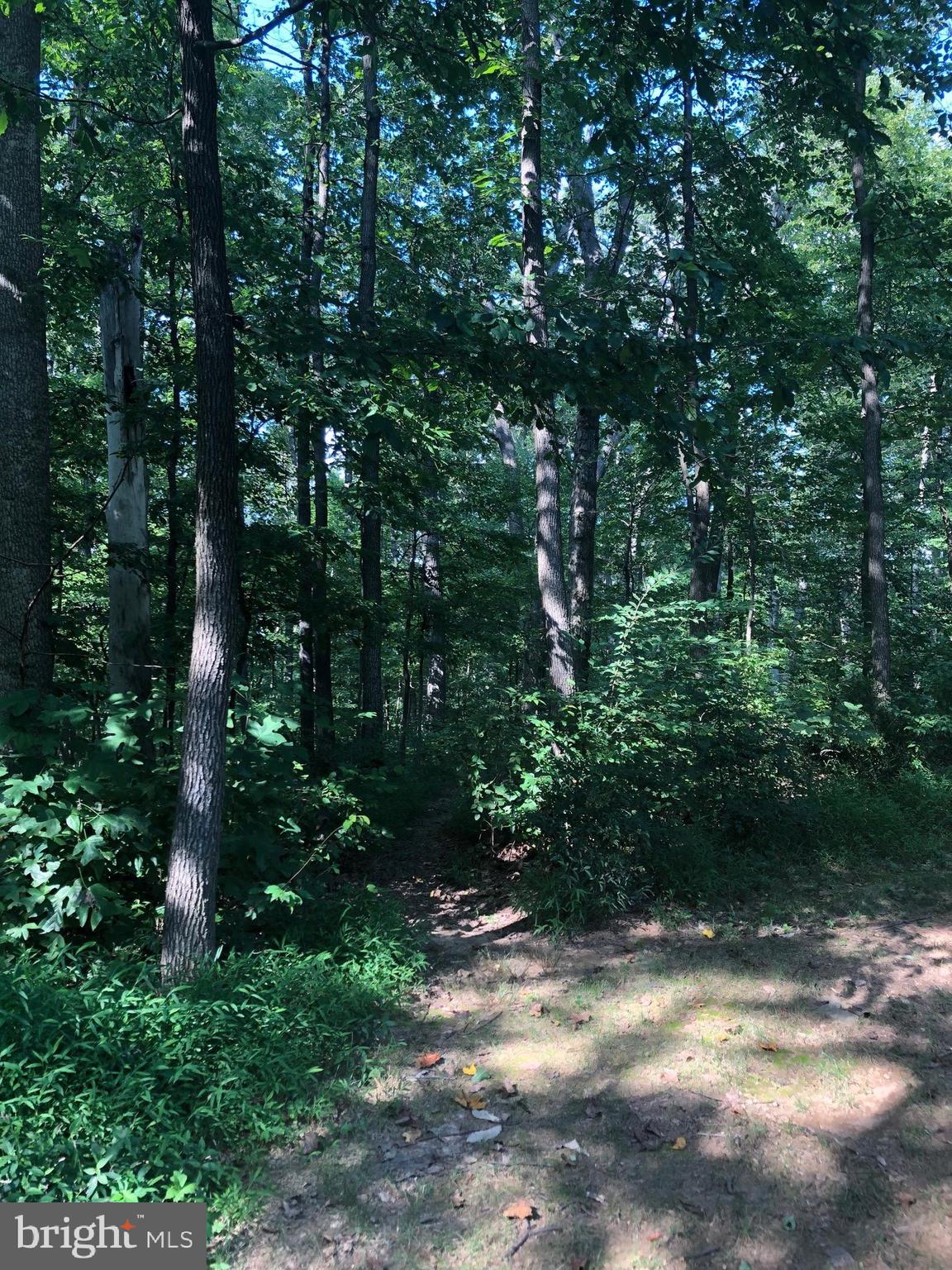 1614 Park Overlook Drive Reston, VA 20190 - Photo 27 of 29 Gallery Image 27