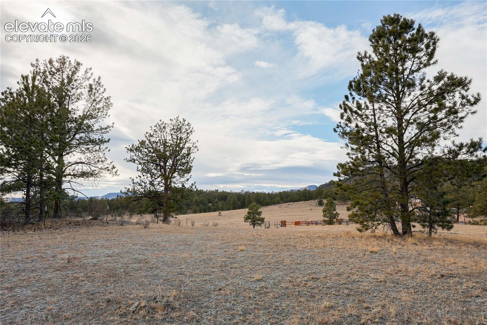 0 Twinkle Road Guffey, CO 80820 - Photo 14 of 20 Gallery Image 14