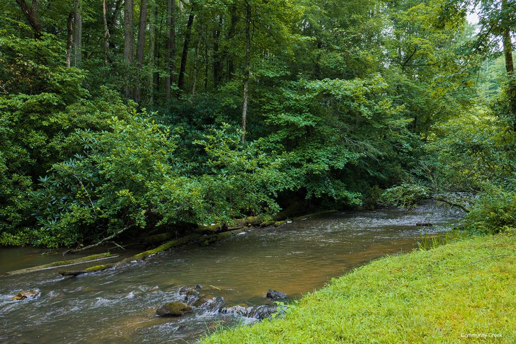 196 Creek Camp Road Ellijay, GA 30536 - Photo 43 of 59