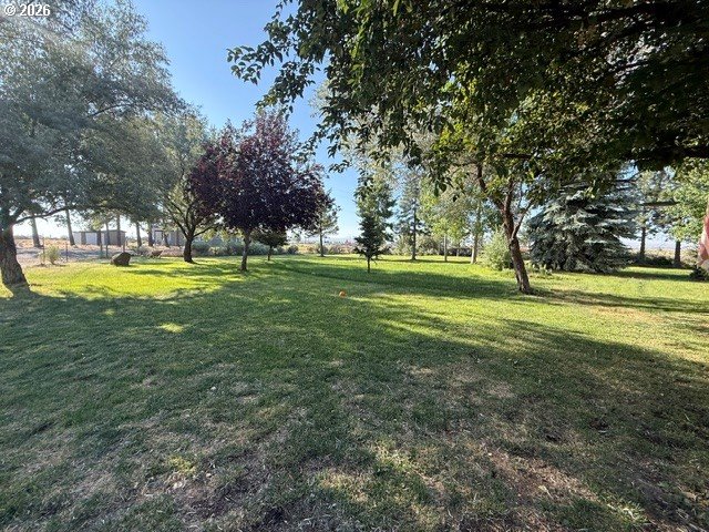 57366 North Rainbow Road Christmas Valley, OR 97641 - Photo 3 of 30