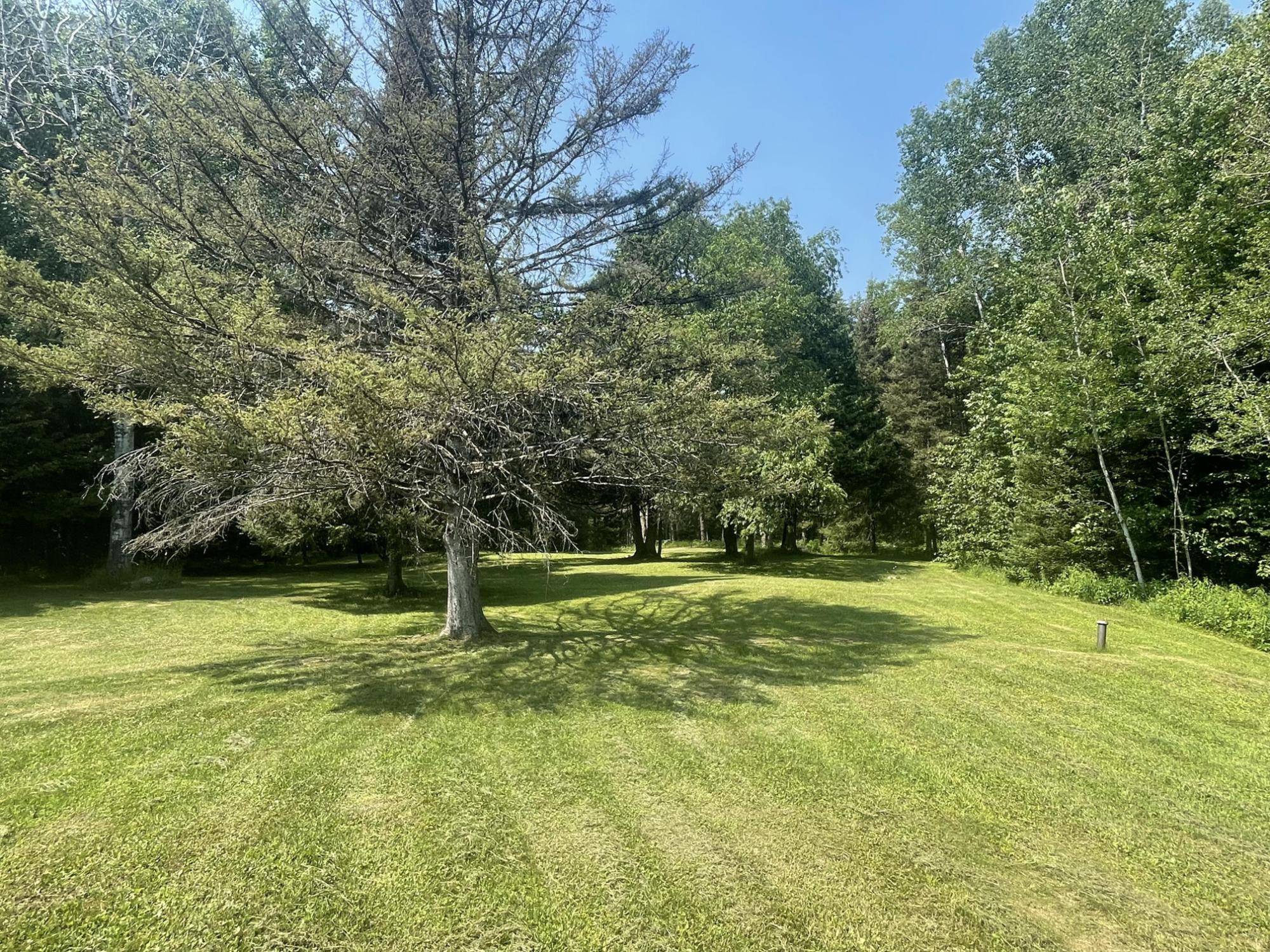 75782 Gear Road Glidden, WI 54527 - Photo 8 of 46
