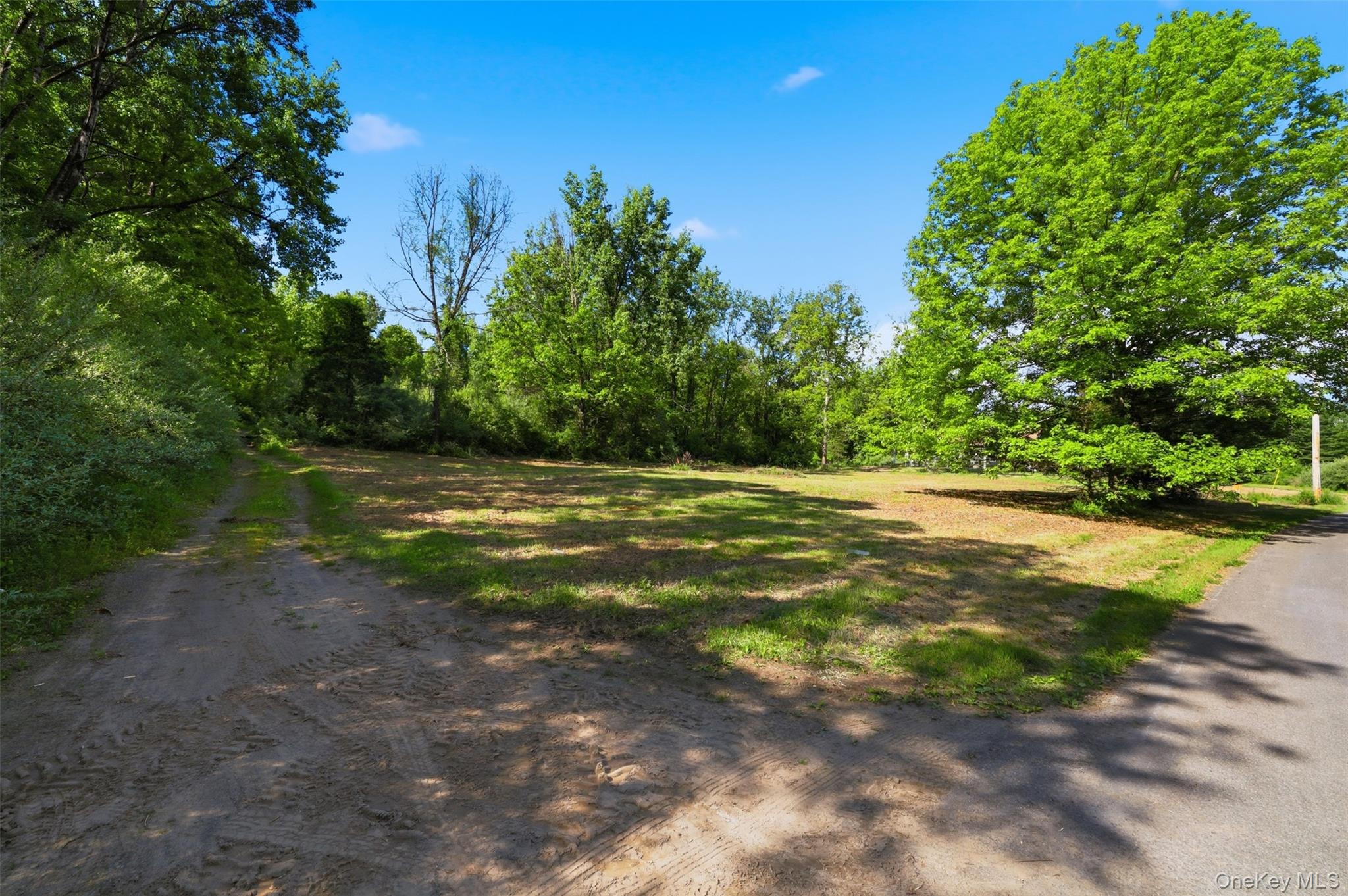 238 Bruceville Road High Falls, NY 12440 - Photo 11 of 15