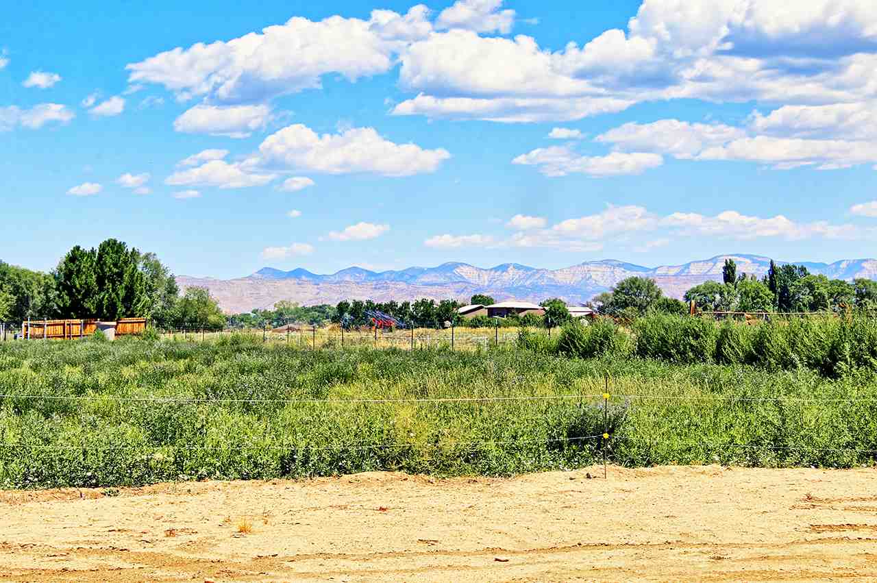 1724 K K 3/4 Road Fruita, CO 81521 - Photo 36 of 42