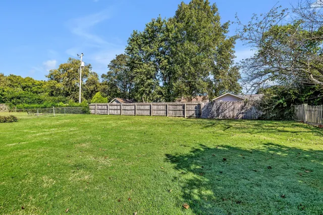 a view of green field with tree in the background