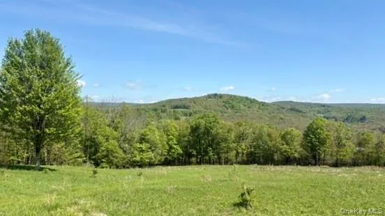 $175,000 | 52 East Hill Road, Jeffersonville, NY 12748