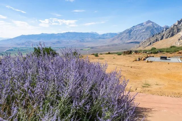 a view of a backyard of a house
