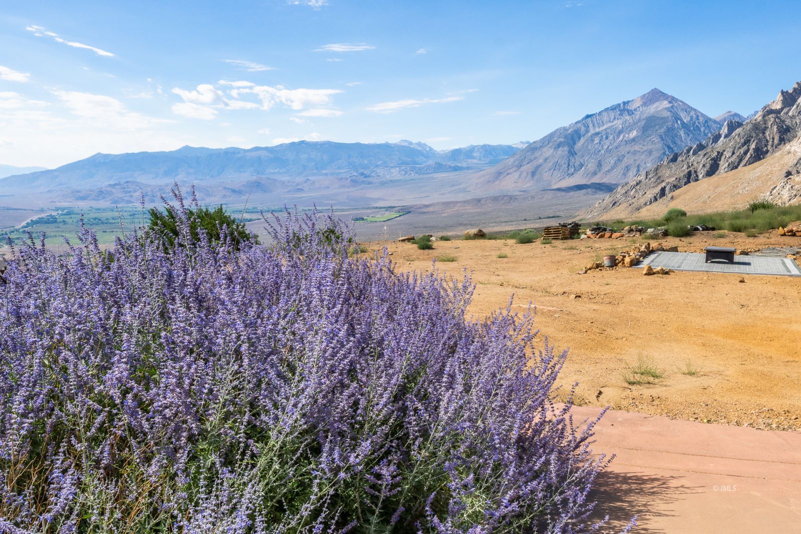 507 Willow Road Bishop, CA 93514 - Photo 12 of 35 a view of a backyard of a house