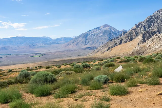 a view of a lake with a mountain