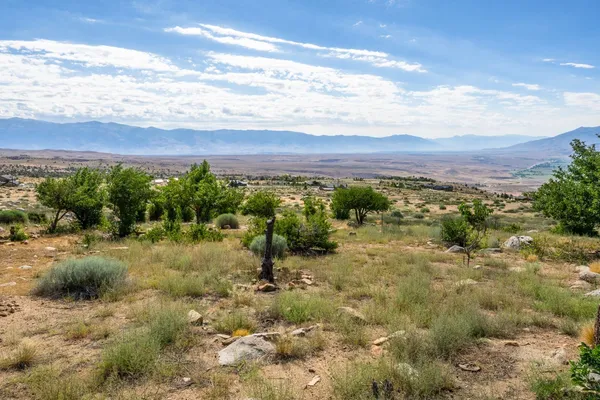 a view of a big yard with lots of green space