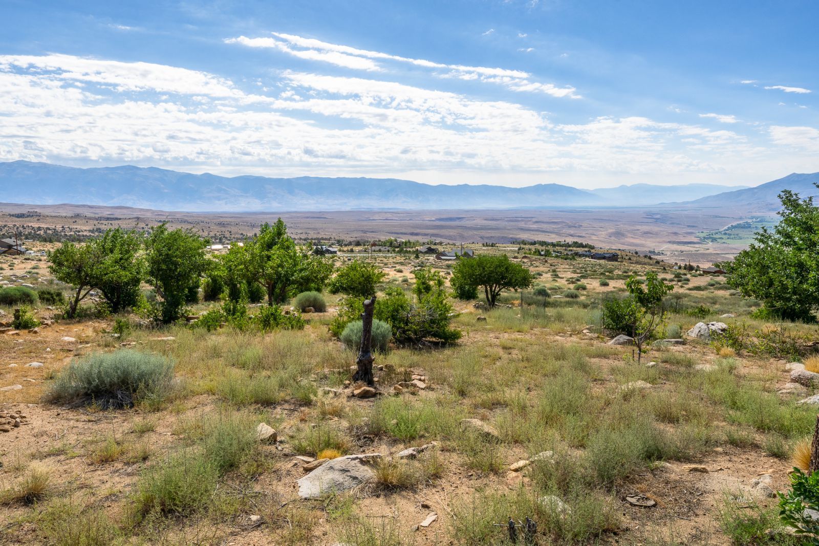 507 Willow Road Bishop, CA 93514 - Photo 14 of 35 a view of a big yard with lots of green space