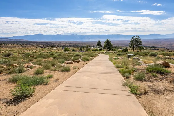 a view of a pathway with a yard
