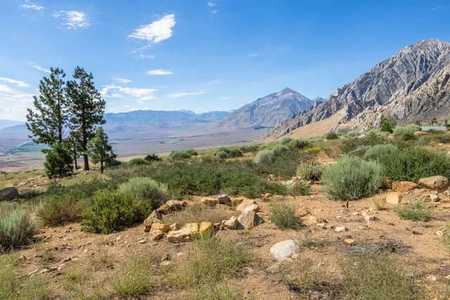 a view of a dry yard with mountains in the background