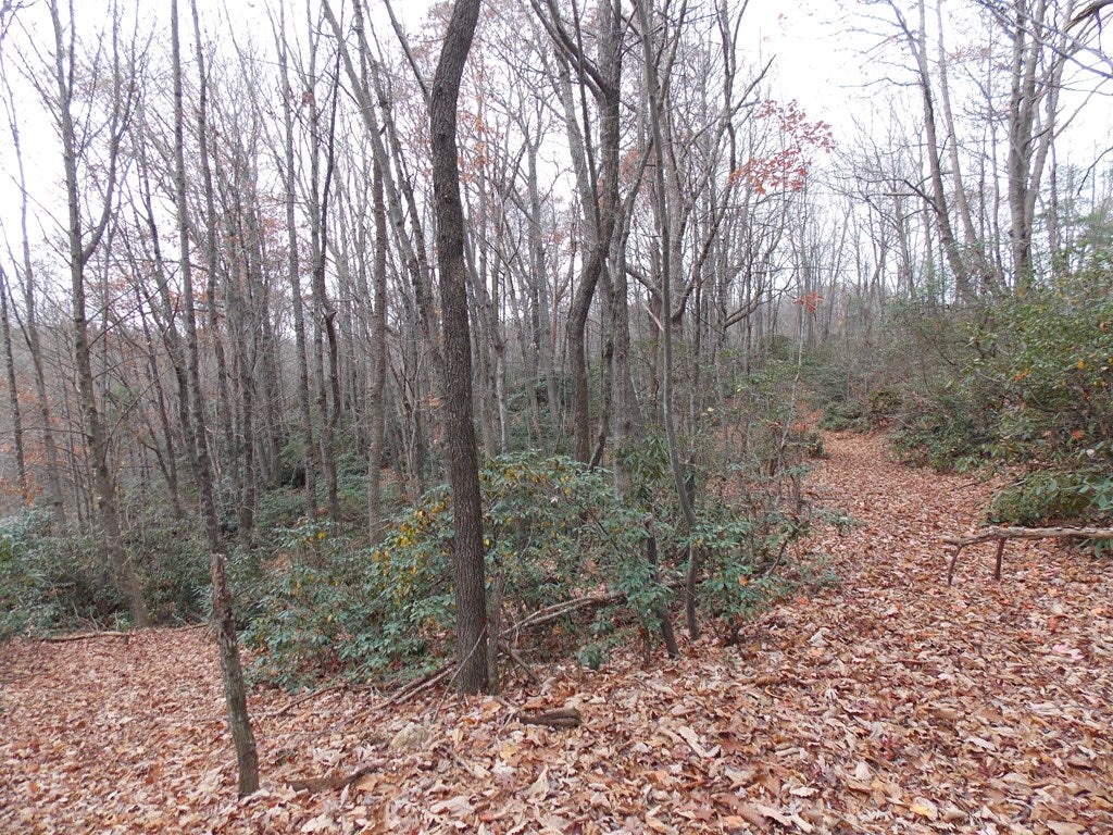 133 Newt's Hill Road Fancy Gap, VA 24328 - Photo 8 of 25 Gallery Image 8