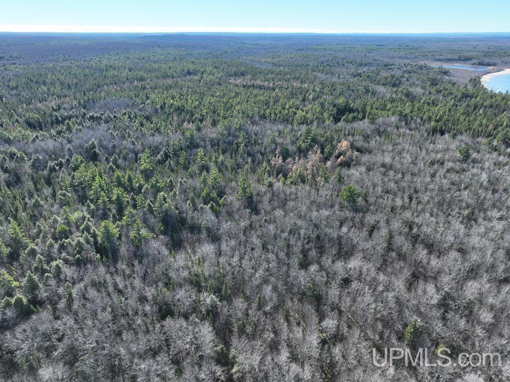 0 North Point Road Au Train, MI 49806 - Photo 8 of 20