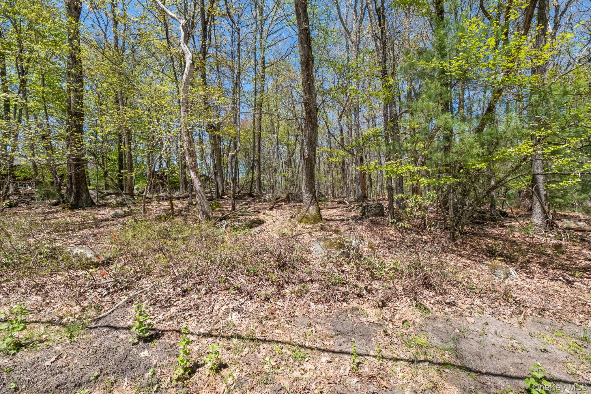 Wolf Pond Road Wurtsboro, NY 12790 - Photo 12 of 13