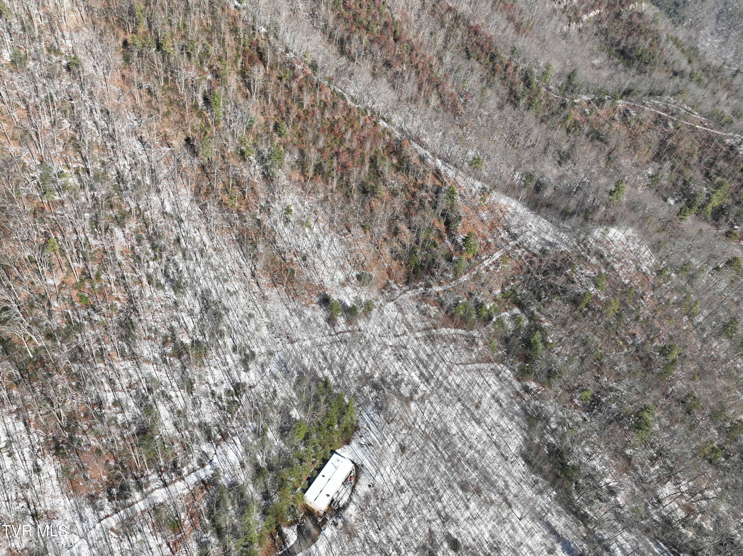 Tbd Kaitlin Road Hampton, TN 37658 - Photo 12 of 21 TBD Kaitlin Rd (19 of 25)