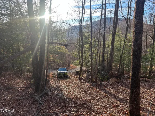 $125,000 | Tbd Kaitlin Road, Hampton, TN 37658