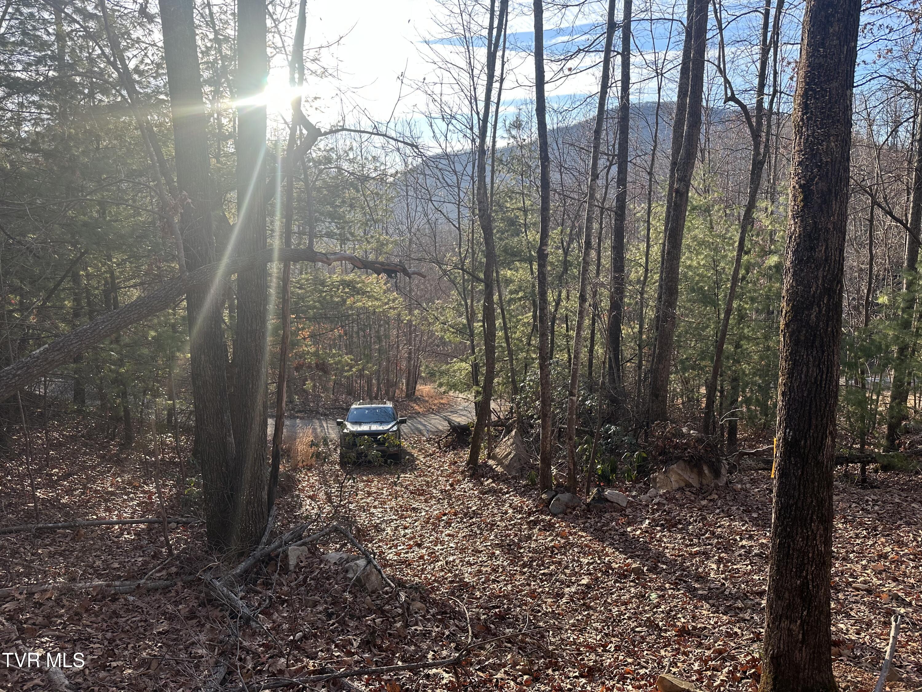 Tbd Kaitlin Road Hampton, TN 37658 - Photo 14 of 26 IMG_9863