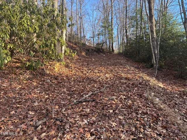 $125,000 | Tbd Kaitlin Road, Hampton, TN 37658