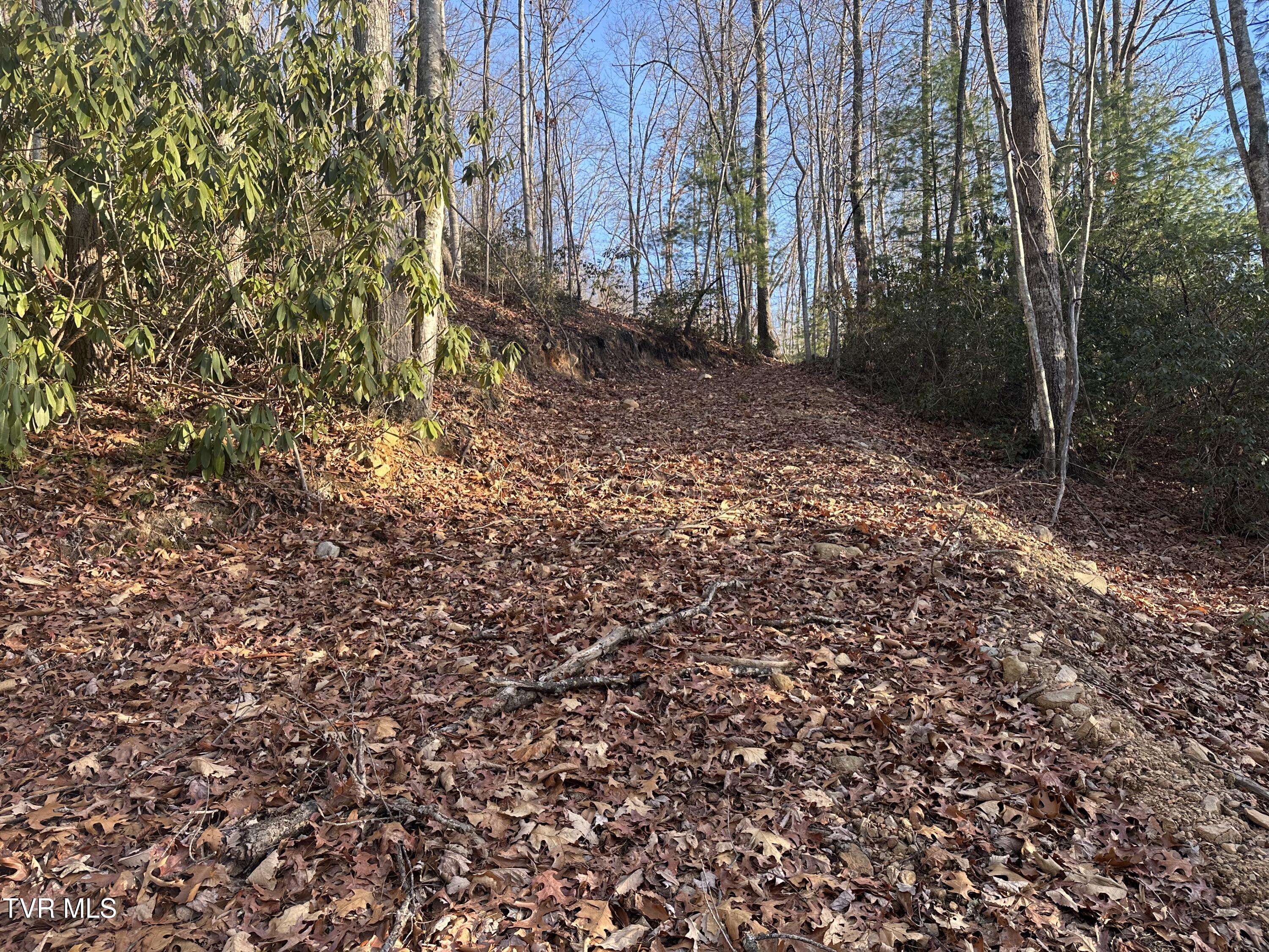 Tbd Kaitlin Road Hampton, TN 37658 - Photo 15 of 26 IMG_9864