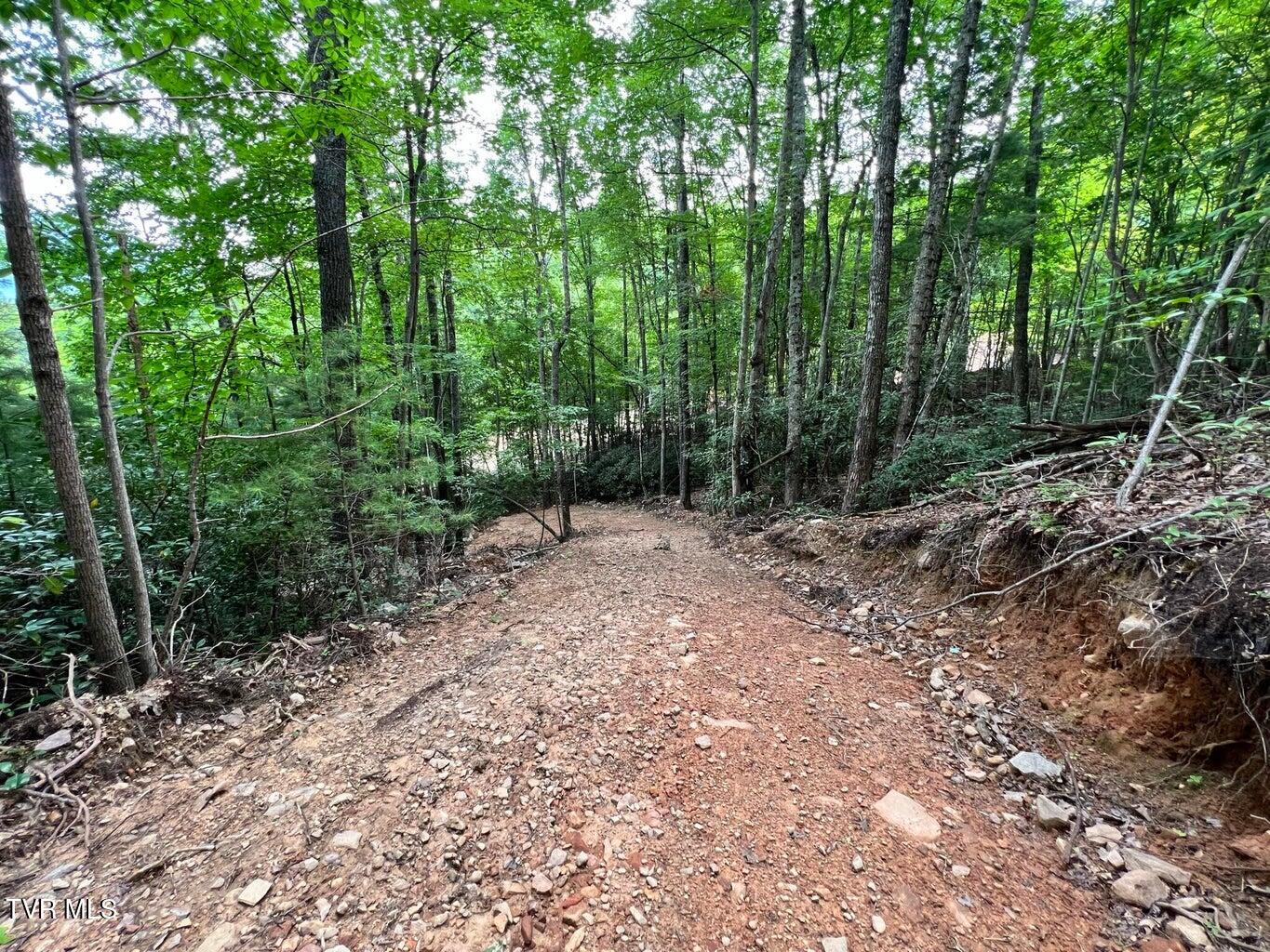 Tbd Kaitlin Road Hampton, TN 37658 - Photo 15 of 21 2