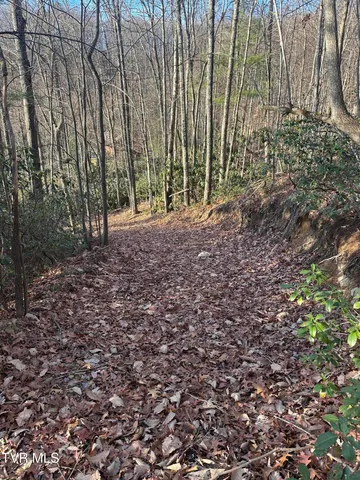$125,000 | Tbd Kaitlin Road, Hampton, TN 37658