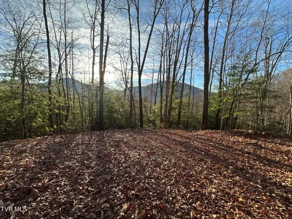 $125,000 | Tbd Kaitlin Road, Hampton, TN 37658