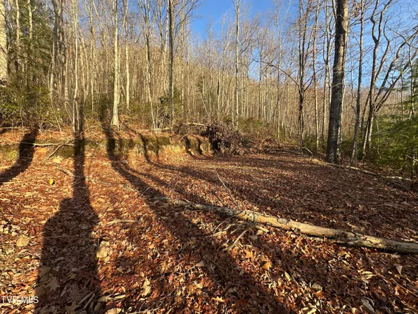 $125,000 | Tbd Kaitlin Road, Hampton, TN 37658