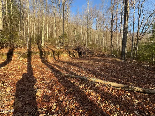 $125,000 | Tbd Kaitlin Road, Hampton, TN 37658