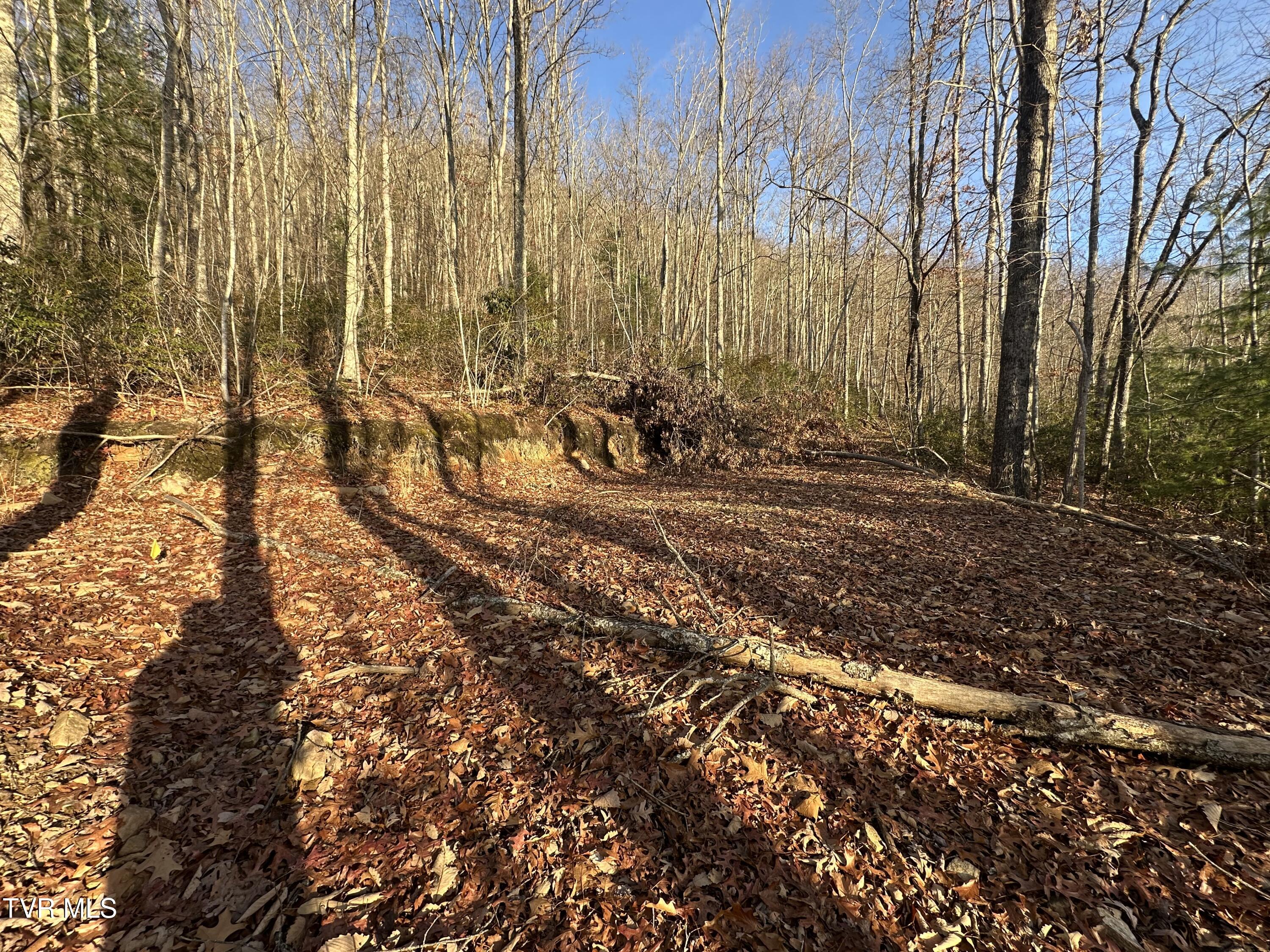 Tbd Kaitlin Road Hampton, TN 37658 - Photo 18 of 26 IMG_9865