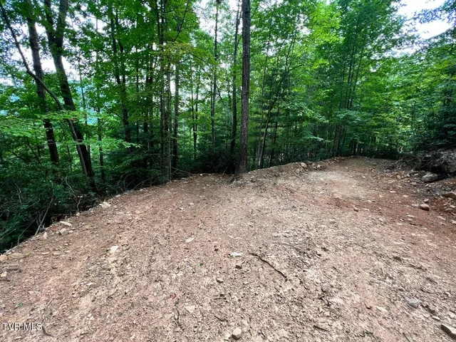 $125,000 | Tbd Kaitlin Road, Hampton, TN 37658